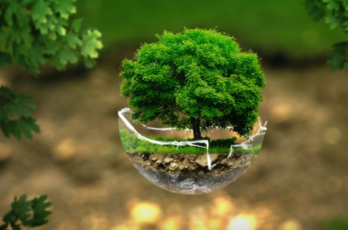 sustainability2.png
