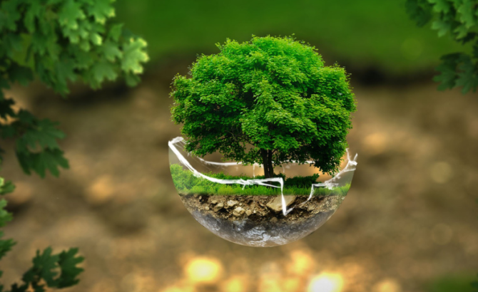 sustainability2.png